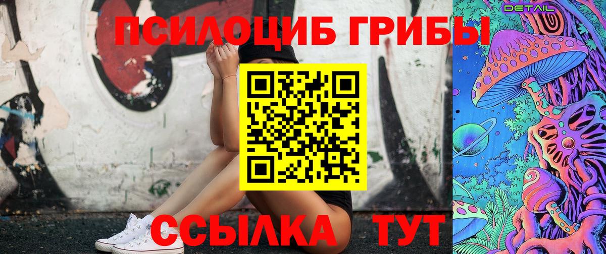 Псилоцибиновые грибы Cubensis Гуково